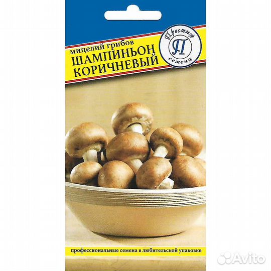 Мицелий грибов Шампиньон коричневый