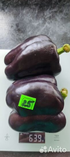 Семена сладкого перца