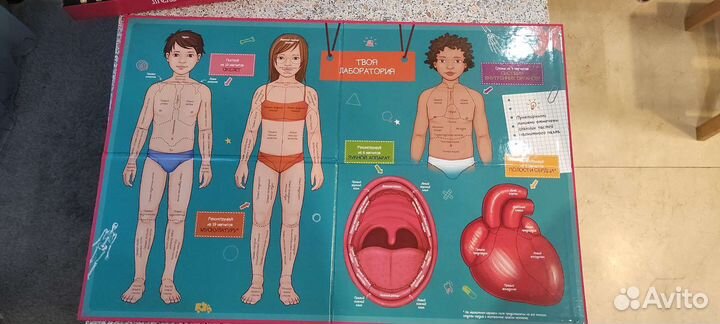 Энциклопедия 