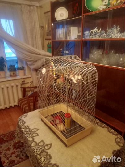 Клетка для крупного попугая