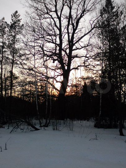 Участок 6 сот. (СНТ, ДНП)