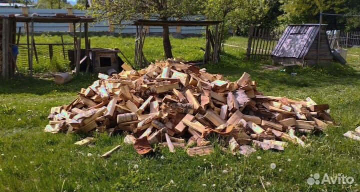 Дрова Береза любой объем от производителя в Приозе