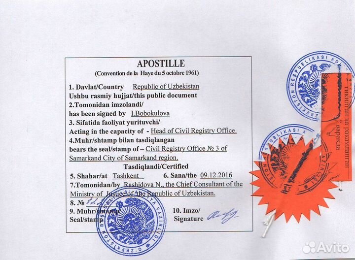 Перевод документов любой сложности и на все языки