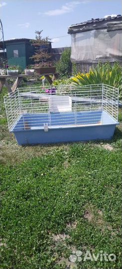 Клетка без верха