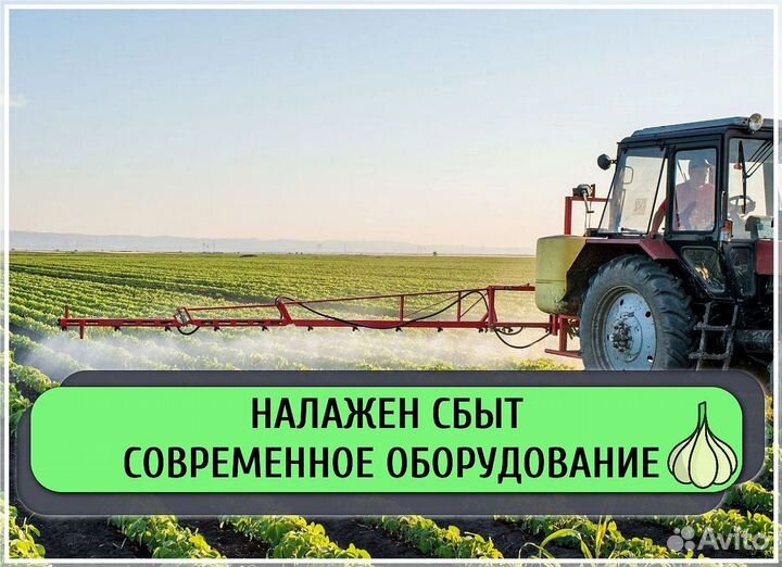 Инвестиции в сельское хозяйство, пассивный доход