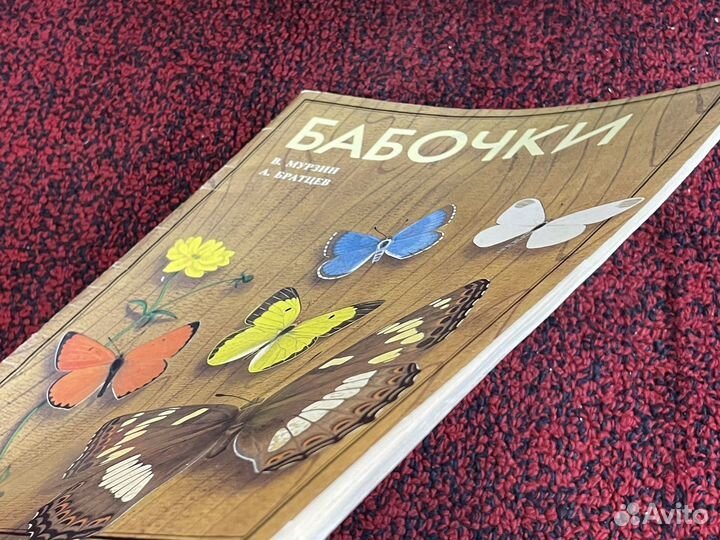 Мурзин - Бабочки - Атлас