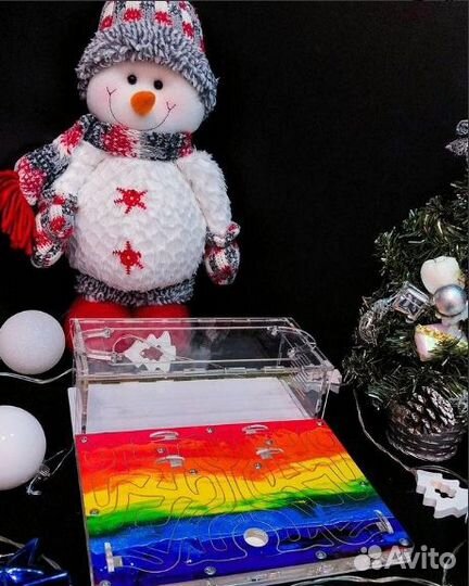 Муравьиная ферма с муравьями