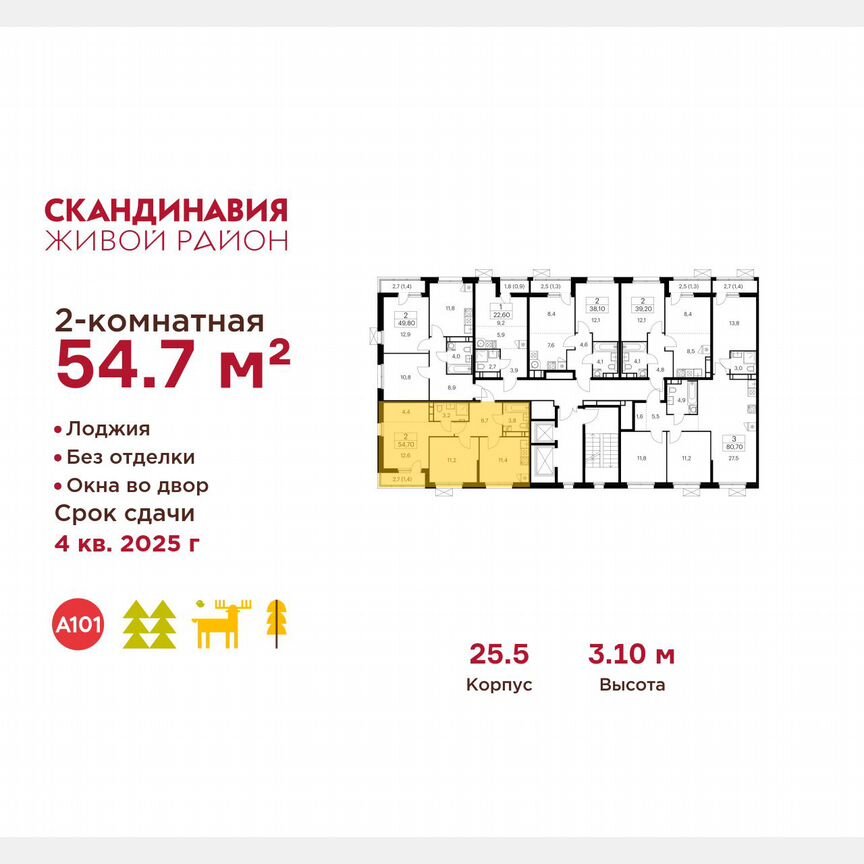 2-к. квартира, 54,7 м², 12/12 эт.