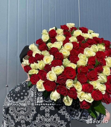 Розы голландские с доставкой 101 шт