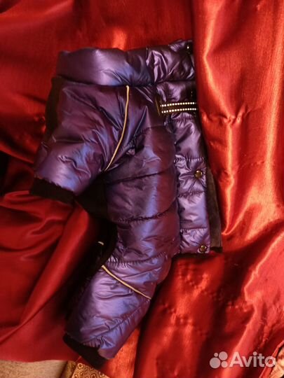 Комбинезон для маленькой собаки мальчик зима