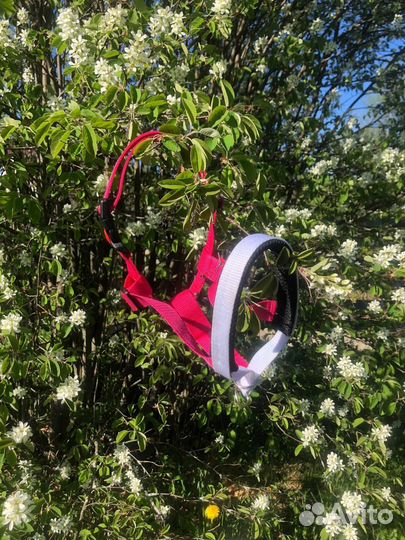 Ошейник для собак ручной работы