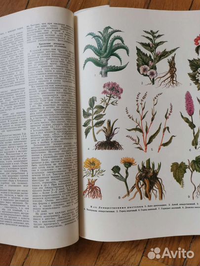 Популярная медицинская энциклопедия, СССР