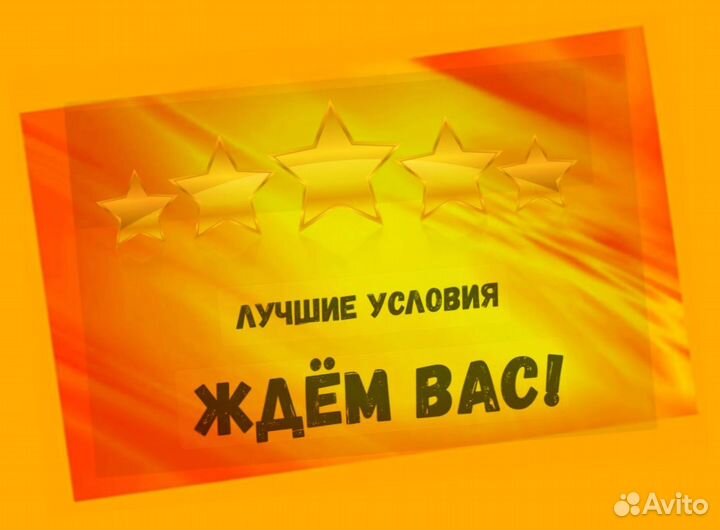 Сортировщик Еженедельный аванс Спецодежда М/Ж