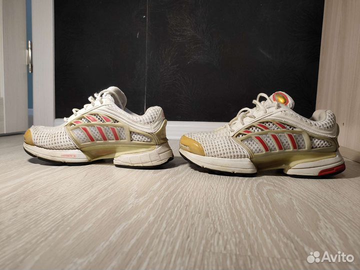 Кроссовки adidas climacool