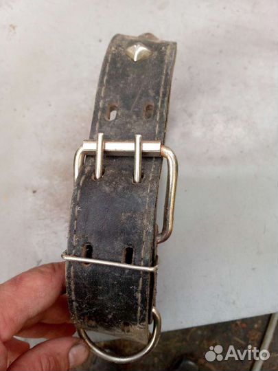 Строгий ошейник для собак