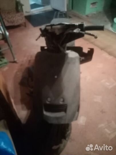 Suzuki 2 в подарок