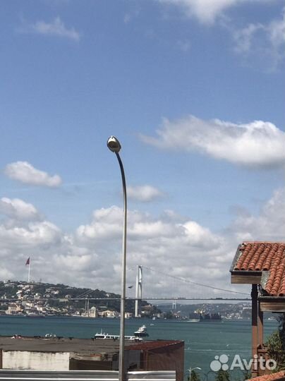 Байер в Турции