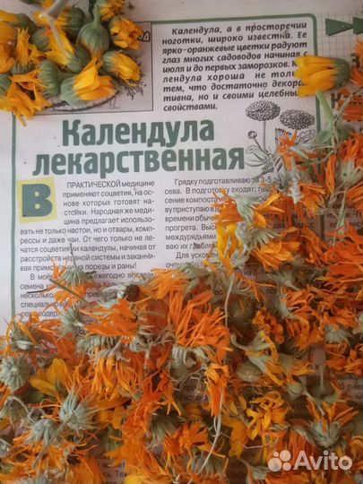 Сушеные травы, для вашего здоровья