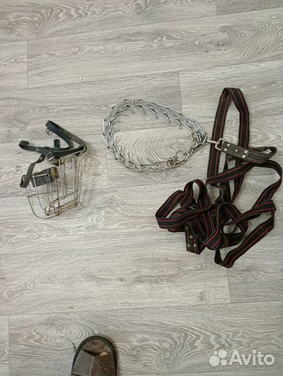 Строгий ошейник поводок 4м намордник
