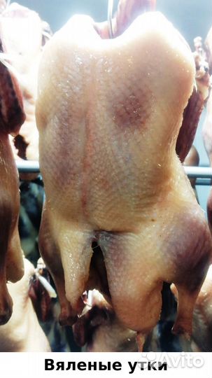 Вяленые гуси