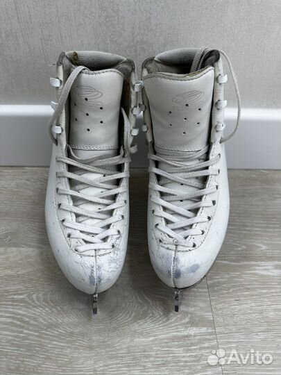 Коньки Edea Chorus 220