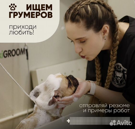 Грумер в салон