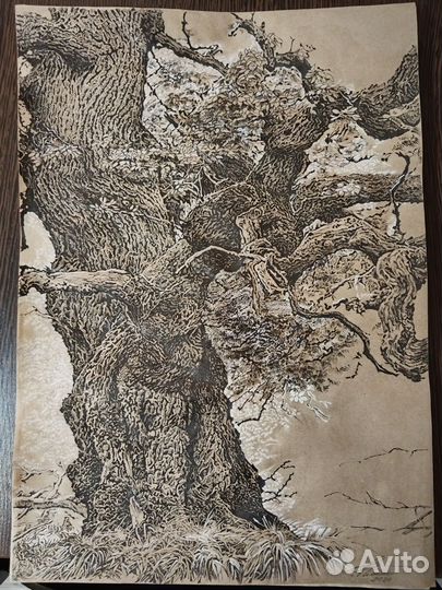 Рисунок графика