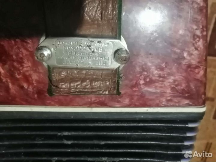 Баян вологодский