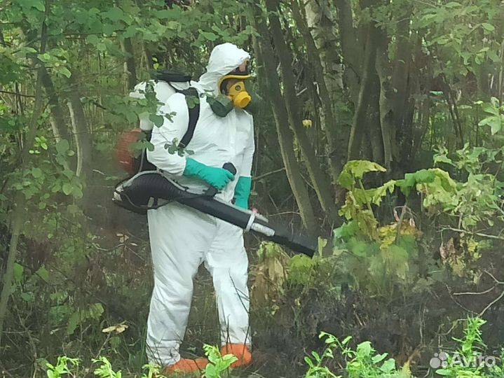 Обработка территорий от клещей