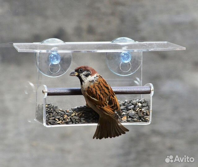Кормушка для птиц на окно