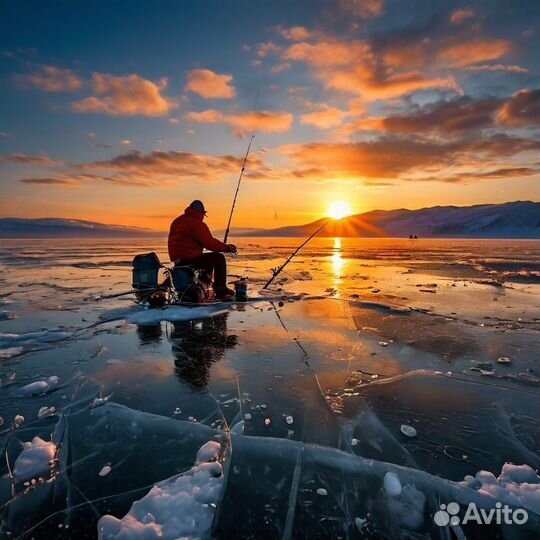 Байкальский омуль свежий зимний улов вкусный