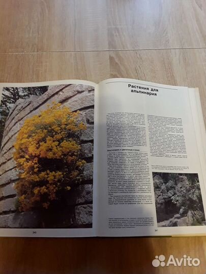 Энциклопедия садовода