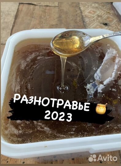 Мед Алтайский 2023