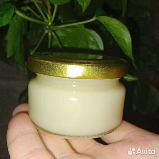 Барсучий жир