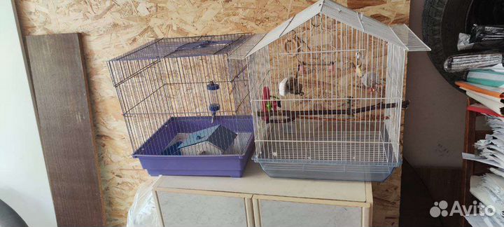Клетка для попугая