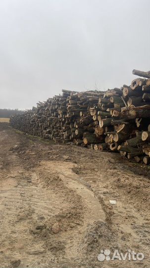 Дрова колотые, в пеньках,мешках,сетках