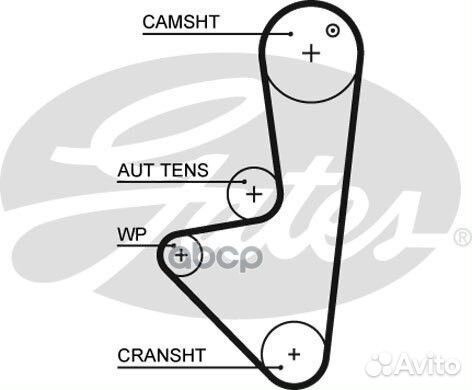 Ремень грм 5575XS Gates
