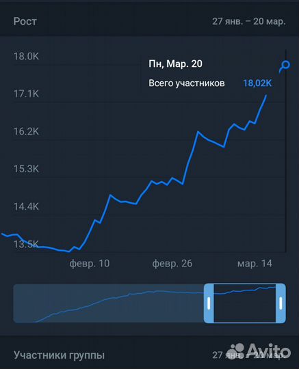 Продвижение Телеграм и Вк. Опытный Таргетолог
