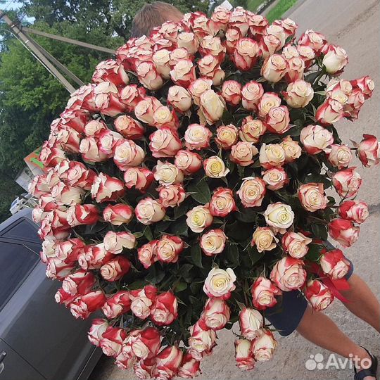 Розы огромный букет