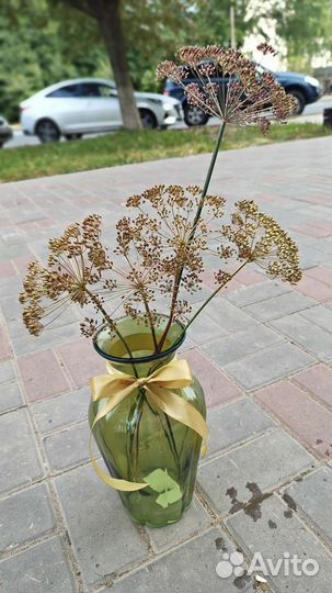 Сухоцветы колоски подсолнухи