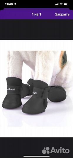 Ботинки для маленьких собак