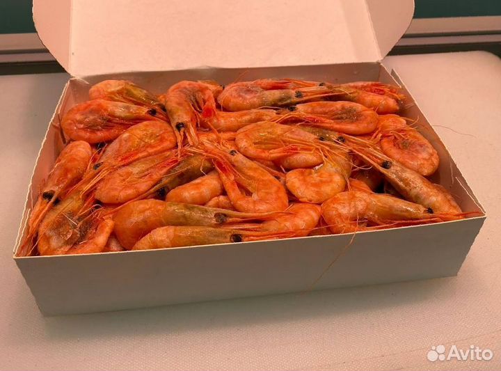 Креветка северная. Свежезамороженные