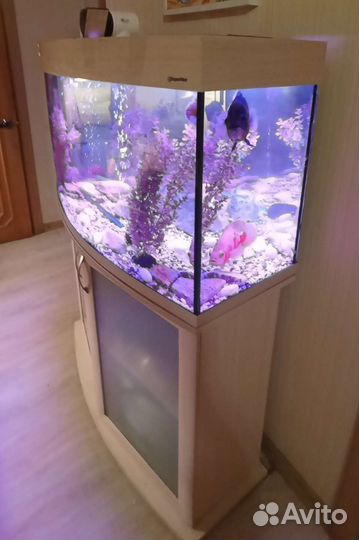 Аквариум с тумбой 175 литров