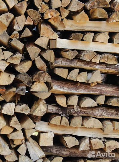 Дрова береза