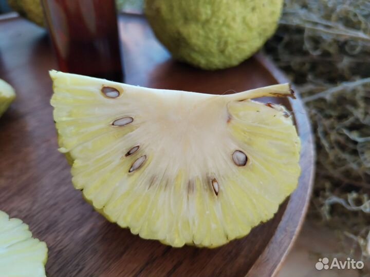 Средств против грибка ногтей