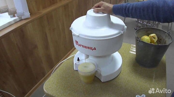 Соковыжималка Салют Нептун Дачница Садовая Журавин