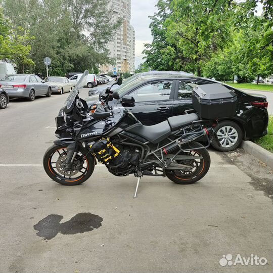 Triumph Tiger 800 дилерский
