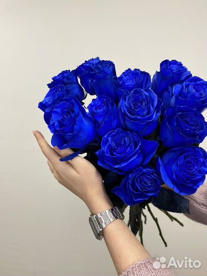 Синие розы