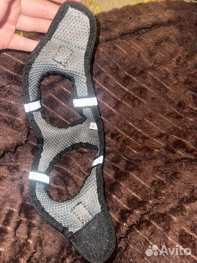 Шлейка для маленькой собаки