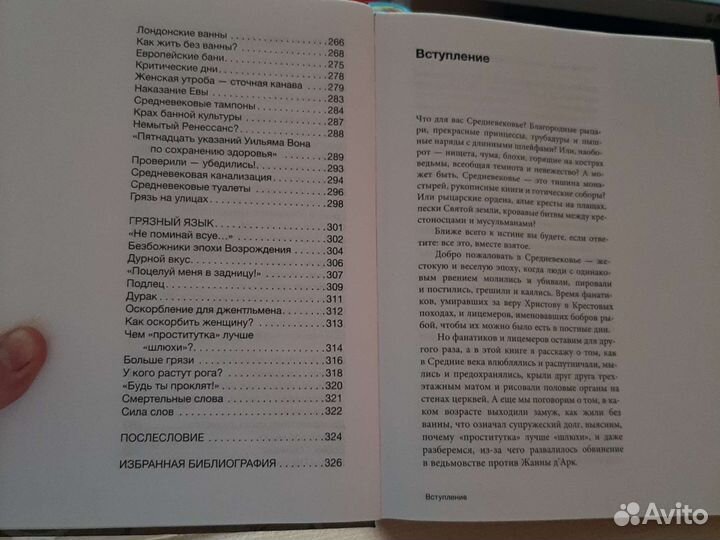 Блyдливое средневековье Е. Мишаненковой